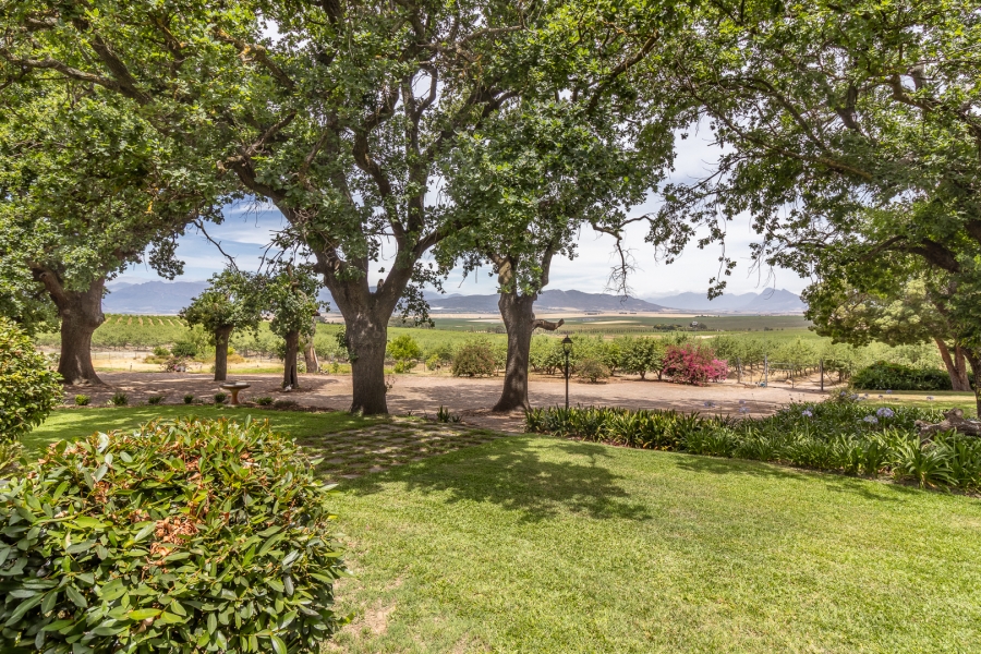 Commercial Property for Sale in Paarl Rural Western Cape